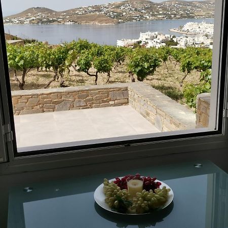 PárosWonderful Sea View别墅 外观 照片