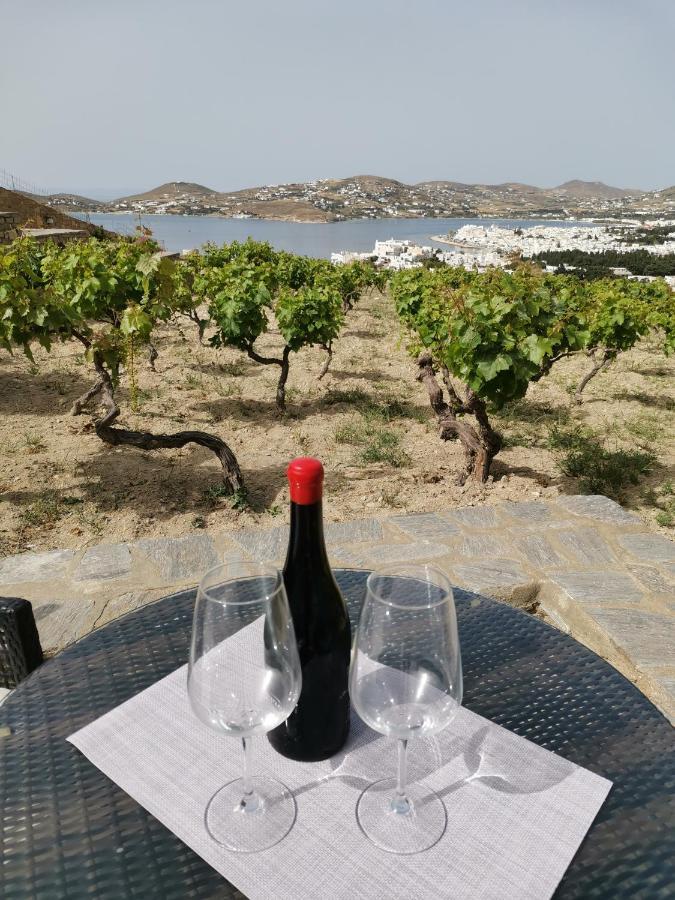 PárosWonderful Sea View别墅 外观 照片